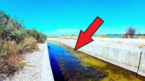 Какая рыба живёт в канале. Опустил камеру на дно.