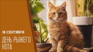 ДЕНЬ РЫЖЕГО КОТА.СИМПОТЯГА РЫЖИЙ КОТ...