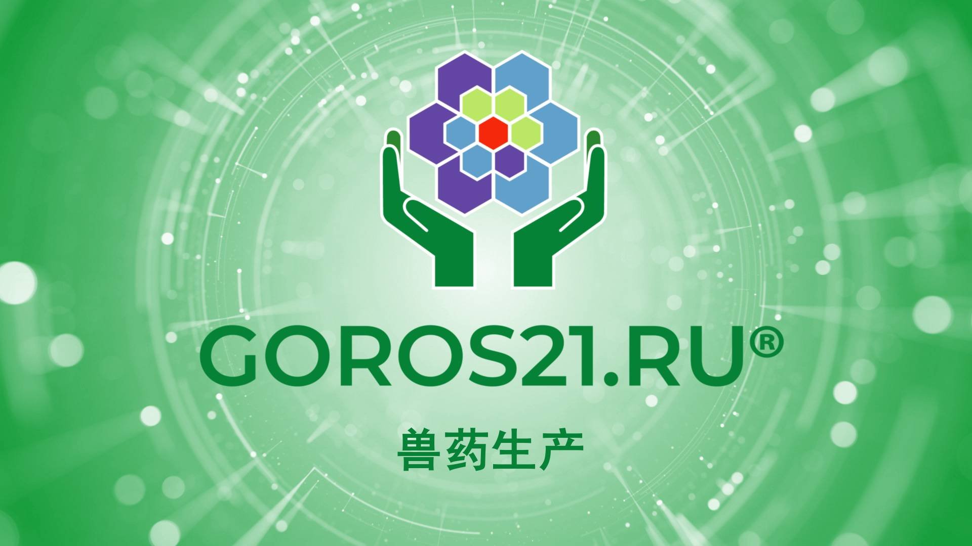 GOROS21.RU 2025 CN