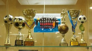 В музее открылась выставка «Футбол без границ»