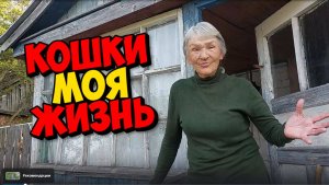 ЗАКРОЕТ ЛИ СВЕТА СВОЙ КАНАЛ ???