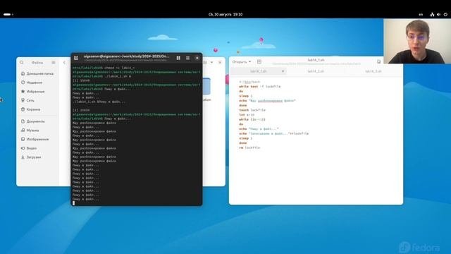 Лабораторная работа 14