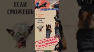 Подарки от продлевателей 404