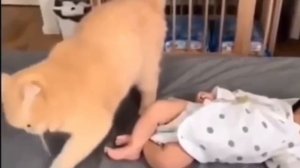 Кожаные, тут пора уже убраться😳