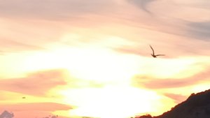 Лермонтово море на закате