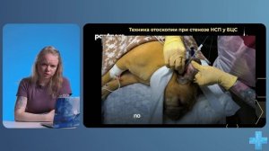 Как достичь эффективности и безопасности в лечении отитов