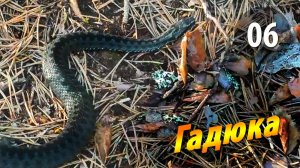 #06 Гадюка острова Кереть - Чупинская кругосветка 2025