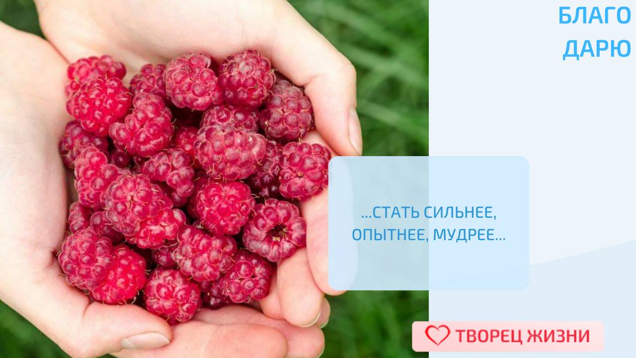 Благодарю за труд, который делает меня счастливее!