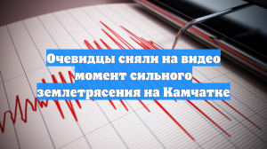Очевидцы сняли на видео момент сильного землетрясения на Камчатке