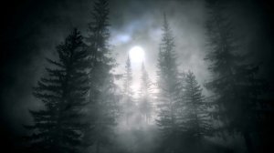 Лес туманых слов