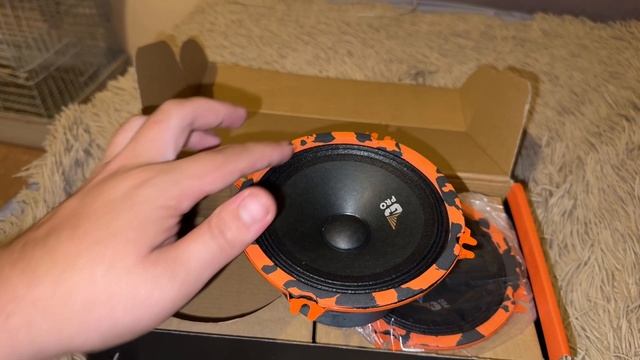 Обзор и прослушка громких динамиков Dl Audio Gryphon pro 130