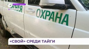 Лесничий Александр Малык 43 года находится на страже лесных угодий Шкотовского МО