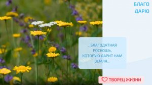 Благодарю за возможность наслаждаться красотой природы и ее дарами!