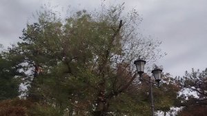 Пятигорск 2