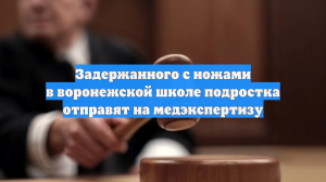 Задержанного с ножами в воронежской школе подростка отправят на медэкспертизу