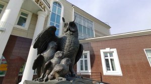 Совы в городе