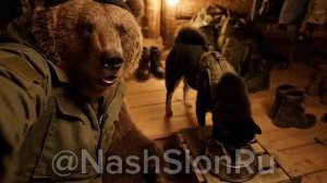 Фронтовые будни...