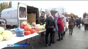 В Уфе 20 и 21 сентября пройдут осенние сельхозярмарки