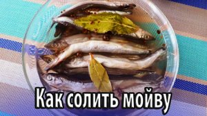Как солить мойву