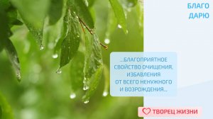 Благодарю за возможность очищения и преображения!