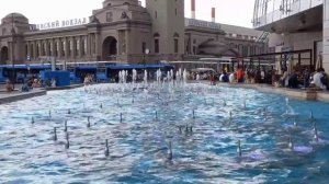 Музыкальный фонтан и электробусы.