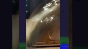 Супер спинер хехехехехе