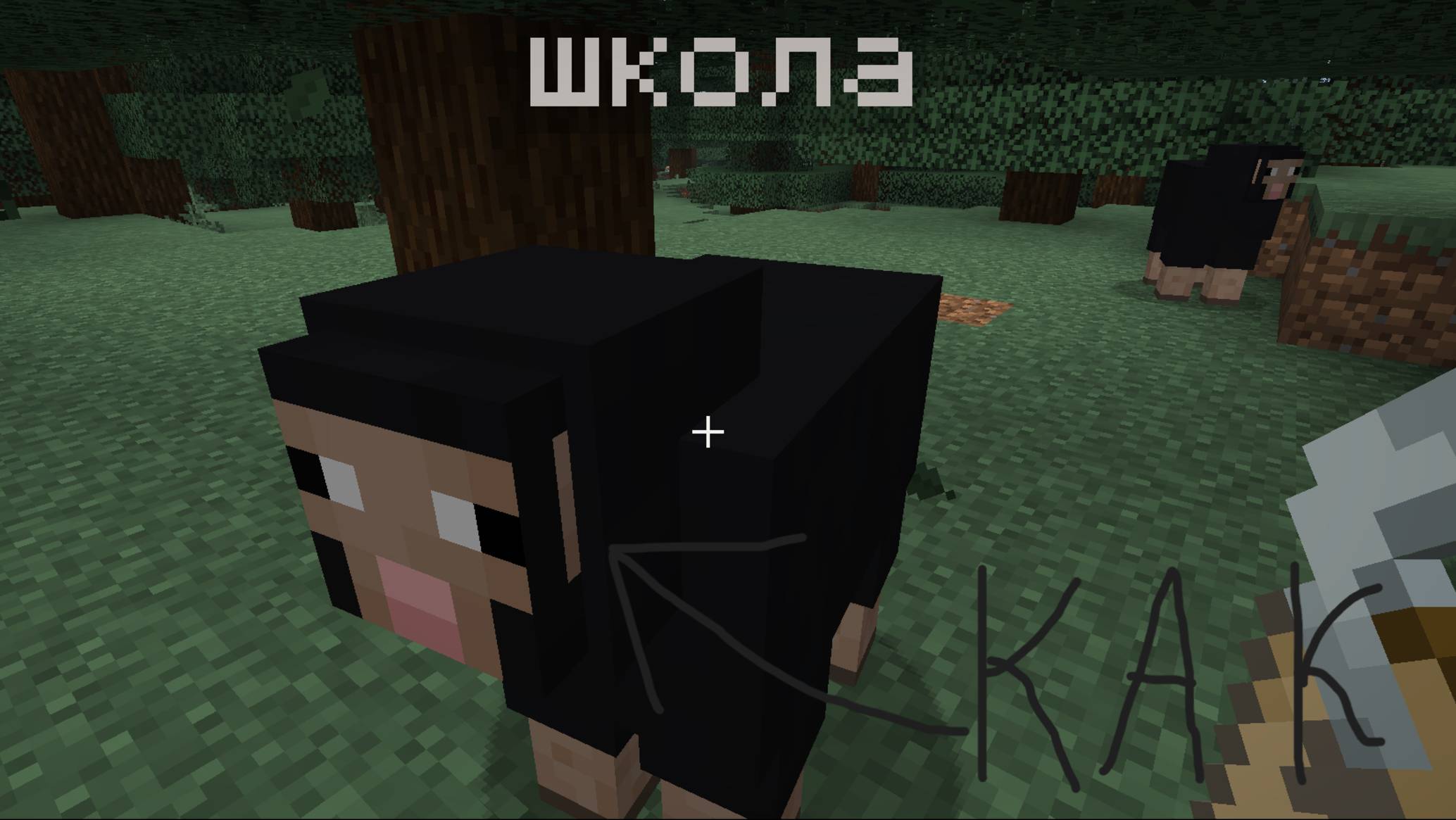 Как Пользоваться биркой в майнкрафте. смотреть онлайн