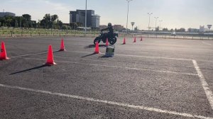 Kota ☺️ GP H1 Savchenko Aleksandr