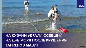 На Кубани убрали осевший на дне моря после крушения танкеров мазут
