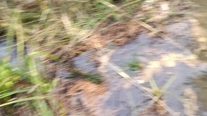 2. Загородный ключ. 5 сентября 2025 года.