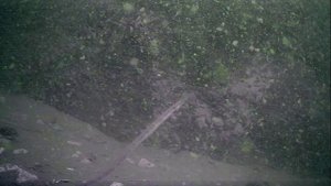 1000001238.mp4Волга гл.5м.19.09.2025 г.