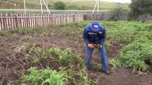"Во саду ли, в огороде" ( Выпуск от 19.09.2025)