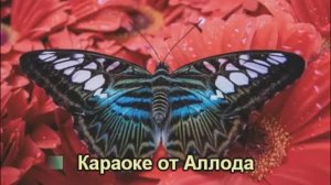I Will ( Я буду). Пол Маккартни и The Beatles. ( The Beatles, 1968 г.)