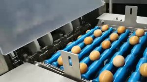 углеродный стальный ремень пекарная печь ремень #steelbelt #biscuitmachine #tunneloven #steelband #b