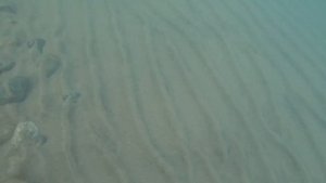 В море с головой