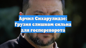 Арчил Сихарулидзе: Грузия слишком сильна для госпереворота