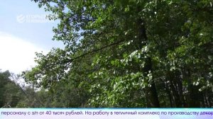 Новый выпуск программы "Егорьевск сегодня" от 19.09.25