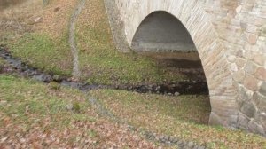 Магия синхронии. Спонтанные опыты на бытовых тиранах