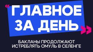 Главное за день: бакланы продолжают истреблять омуль в Селенге