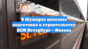 В Шушарах началась подготовка к строительству ВСМ Петербург – Москва