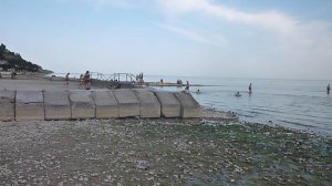 Plyag primorskiy 22082019