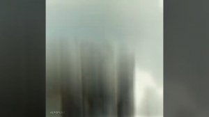 tyrannosaurus Rex☠️