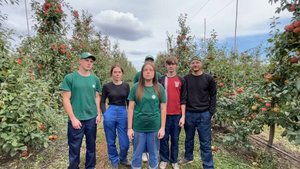 Студенты ЮЗГУ борются за звание лучшего стройотряда