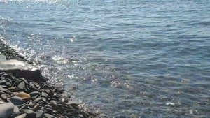 Большой Утриш ЛУЧШИЕ ВИДЫ, влюблена в это место