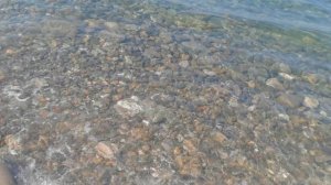 VID_20250708_085911.mp4