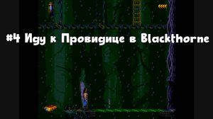 #4 Иду к Провидице в Blackthorne