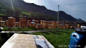 2025_0518_172541_066