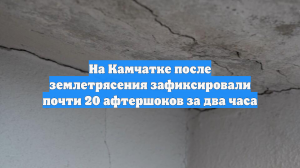 На Камчатке после землетрясения зафиксировали почти 20 афтершоков за два часа