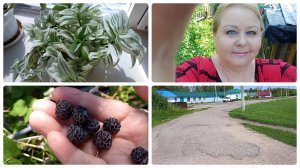Не наглей,☝️соседушка,не наглей.