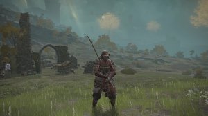 Жуки в Елден Ринг.